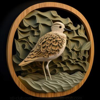 3D model st plover (STL)